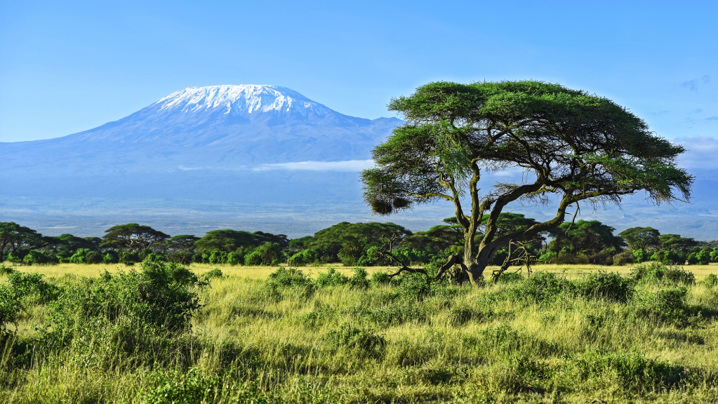 Килиманджаро.jpg